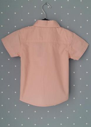 Рубашка с коротким рукавом lc waikiki на 9-12 месяцев (размер 80-86)5 фото