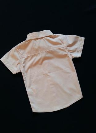 Рубашка с коротким рукавом lc waikiki на 9-12 месяцев (размер 80-86)7 фото