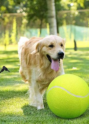 Великий тенісний м'яч 24 см, насос у комплекті. тенісний м'яч великого розміру. іграшка для собак, дітей