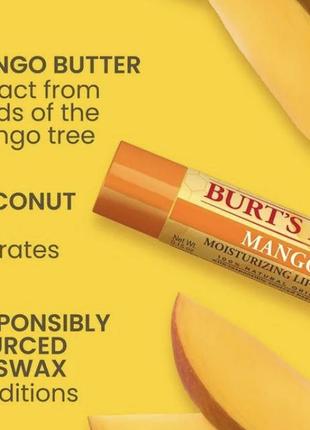 Набор натуральных бальзамов для губ burt's bees сша4 фото