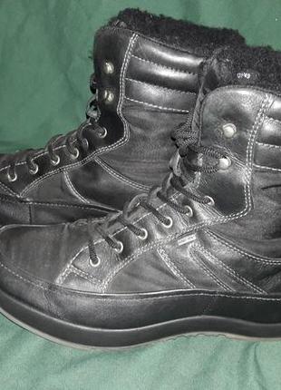 Ecco - шкіряні зимові черевики