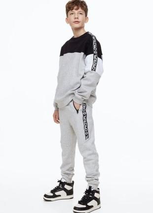 Штаны на флисе спортивные