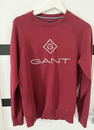 Мужской свитшот gant1 фото