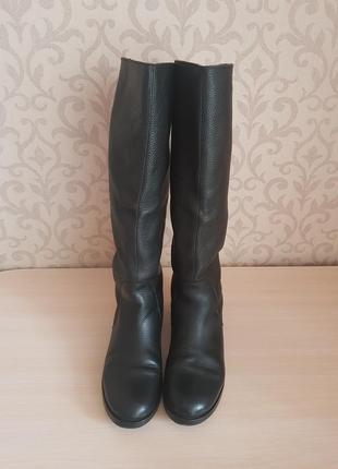 Продам женские сапоги