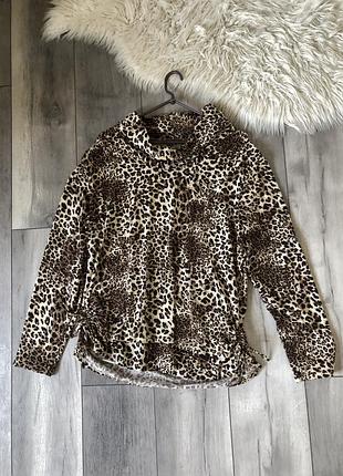 Леопардова кофта xl 4