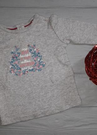 Реглан на девочку lupilu размер 62/68 2-6 месяцев