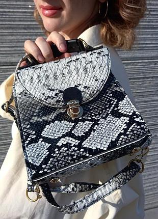 Сумка кросс-боди, змеиный, животный принт