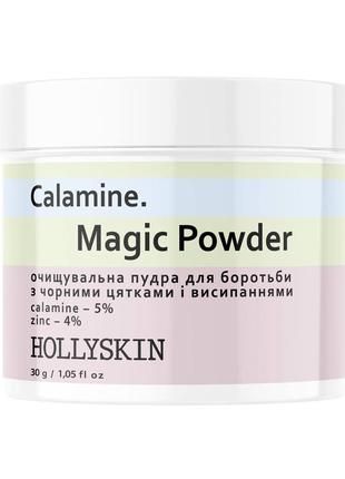 Очищающая пудра для борьбы с черными точками и высыпаниями hollyskin calamine magic powder