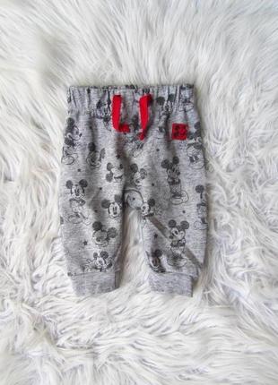 Штани брюки джоггери disney mickey mouse міккі маус primark