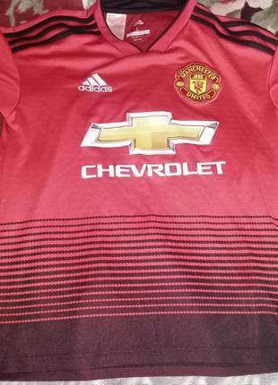 Футболка adidas fc manchester united