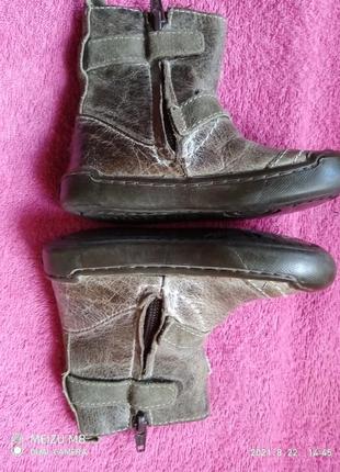 Демисезонные кожаные и сапожки shoesme (голландия)  унисекс / размер  225 фото
