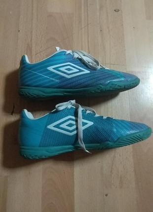 Футзалки umbro velocita 37.5 розмір