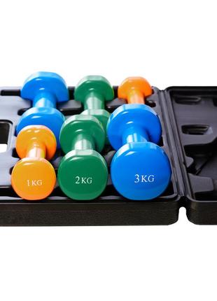 Набор тренировочных спортивных гантелей в кейсе 12 кг. powerplay 4118 (2шт.*1кг. 2шт.*2кг. 2шт.*3кг.) ku-224 фото