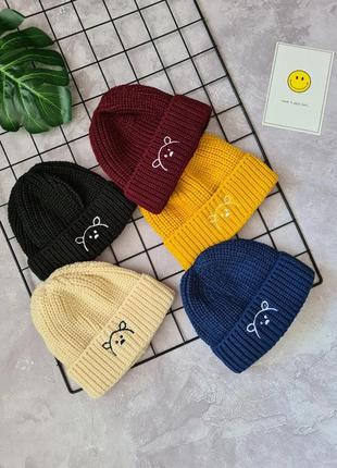 Демисезонная шапка, деми шапули