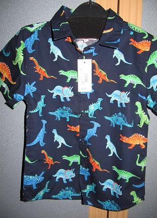 Фирменные рубашки  bluezoo  tu