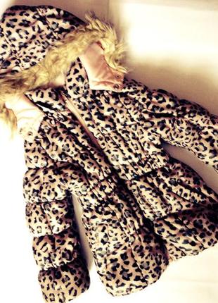 Леопардовая демисезонная куртка 2-3г (рукав 36, длина 50)