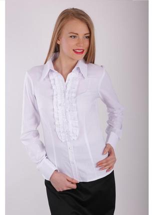 Белая хлопковая деловая блузка с рюшей до талии,  р607 фото