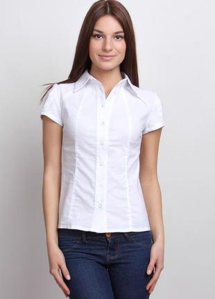 Классическая белая женская рубашка с коротким рукавом  р931 фото