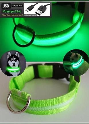 Яркий светящийся ошейник  usb для собак и котов. цвет—зеленый. xs—xl(18-58см.)1 фото