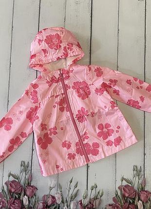 Вітрівка carters ветровка вітровка куртка курточка