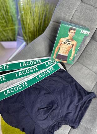 Чоловічі труси lacoste / боксери в комплекті / нижня білизна на подарунок