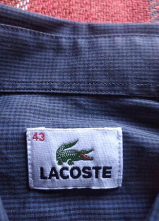 Рубашка мужская lacoste3 фото