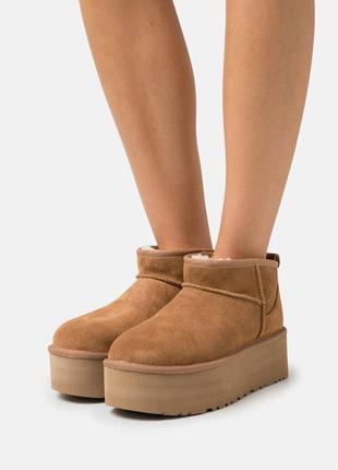 Розкішні брендові уггі на платформі в стилі mini ugg2 фото