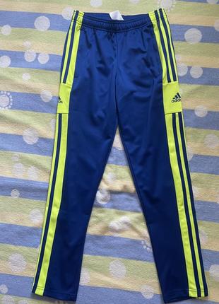 Спортивки adidas 11-12