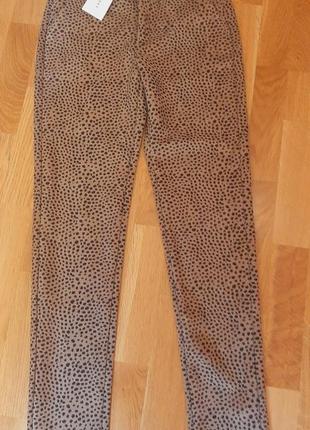 Шикарные брюки нидерланды.