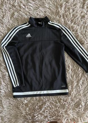 Спортивна кофта adidas