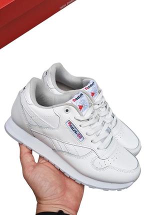 Жіночі кросівки reebok classic білі