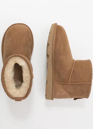 Ugg оригінал уггі жіночі2 фото