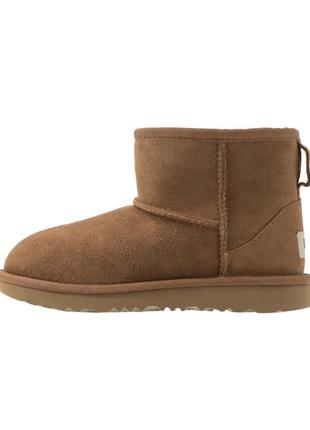 Ugg оригінал уггі жіночі3 фото