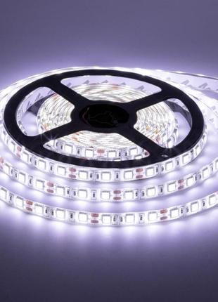 Світлодіодна стрічка smd 5050 (60 led/м), білий, ip65, 12в бобіни від 5 метрів