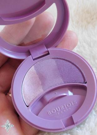 Тенюшки від bourjois франція * 3,5 гр