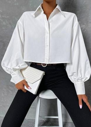 Рубашка классическая рукава фонарики короткая с воротничком на пуговицах рубашка белая со спущенным плечом базовая трендовая стильная