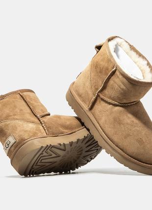 Cапожки ugg classic mini boot chestnut - распродаж3 фото