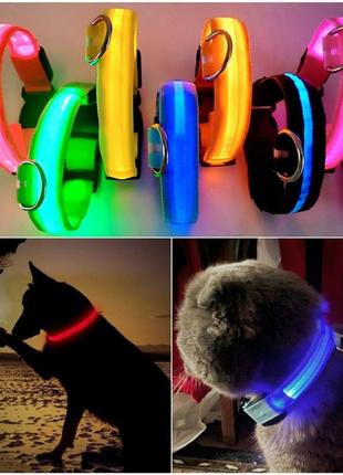 Яркий светящийся ошейник  usb для собак и котов. цвет—розовый. xs—xl(18-58см.)4 фото