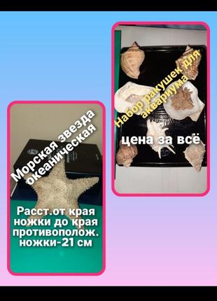 Набір/зірка морська/акваріум/рибкі/мушля