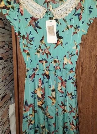 Жіноча сукня з комірцем