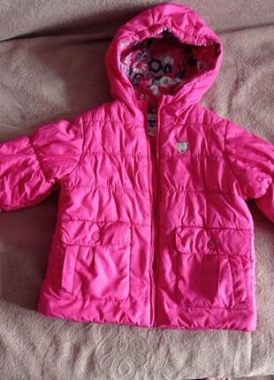 Куртка курточка