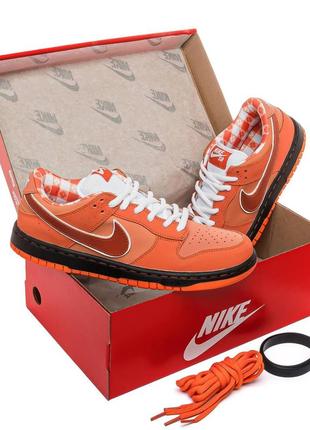 Кросівки чоловічі nike sb dunk low orange lobster