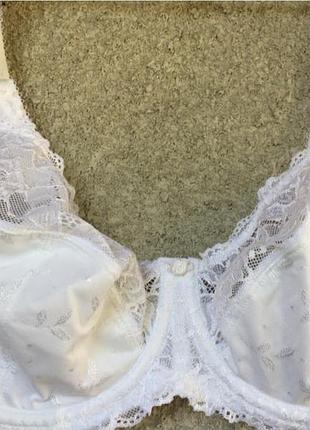 Бюстгальтер