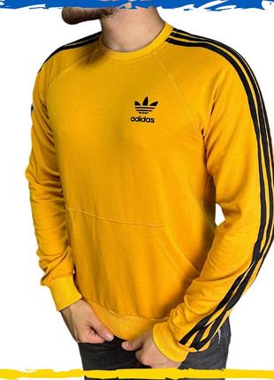 Реглан adidas горчичный. реглан адидас. кофта адидас. m, l, xl, 2xl