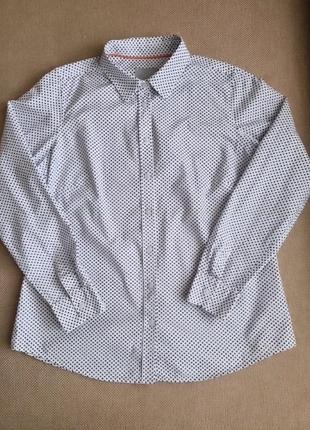 Базова сорочка в горох