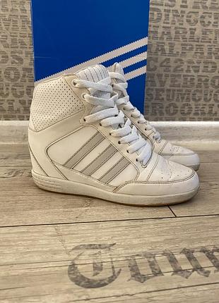 Снікерси adidas
