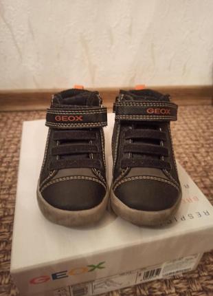 Детские ботинки утепленные деми geox b gisli2 фото