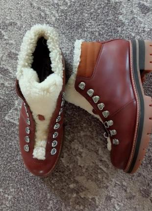 Жіночі чоботи clarks