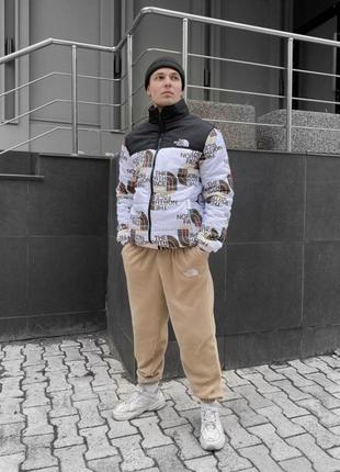 Куртка мужская зимняя tnf