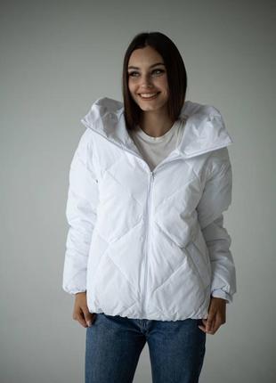 Куртка стеганая деми с капюшоном